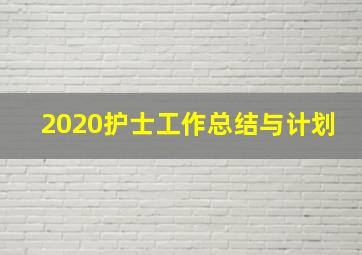 2020护士工作总结与计划