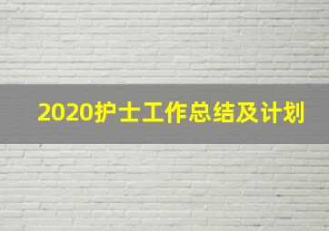 2020护士工作总结及计划