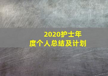 2020护士年度个人总结及计划