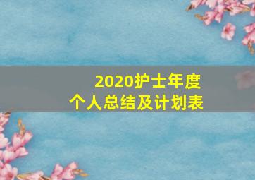 2020护士年度个人总结及计划表