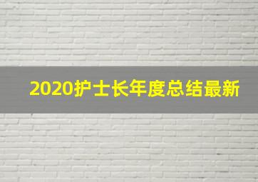 2020护士长年度总结最新