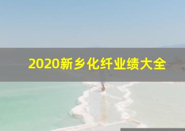 2020新乡化纤业绩大全