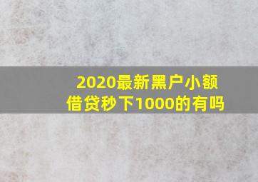 2020最新黑户小额借贷秒下1000的有吗