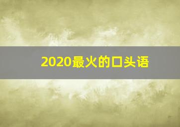 2020最火的口头语