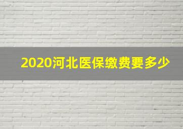 2020河北医保缴费要多少