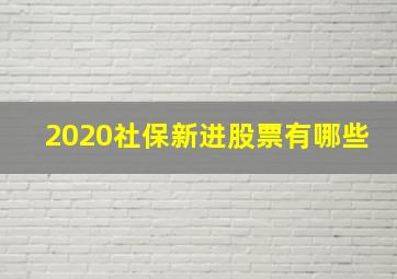 2020社保新进股票有哪些