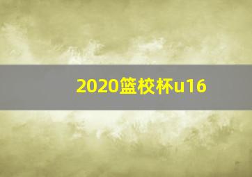 2020篮校杯u16