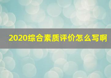 2020综合素质评价怎么写啊