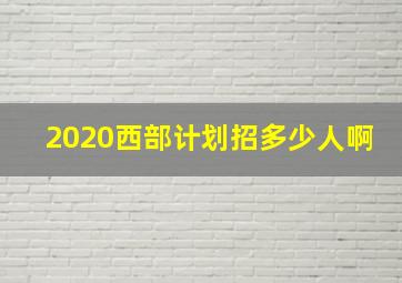 2020西部计划招多少人啊