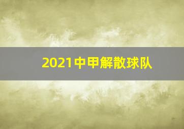 2021中甲解散球队