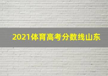 2021体育高考分数线山东