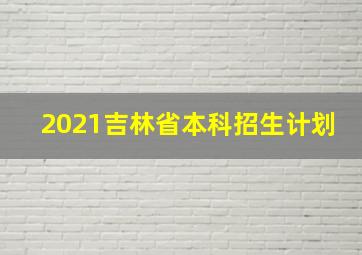 2021吉林省本科招生计划