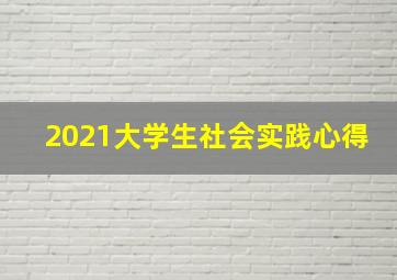 2021大学生社会实践心得