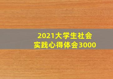 2021大学生社会实践心得体会3000