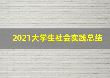 2021大学生社会实践总结