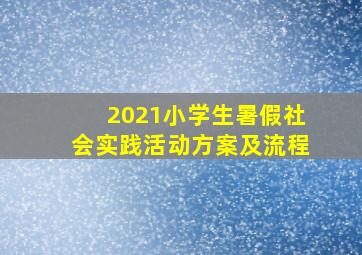 2021小学生暑假社会实践活动方案及流程