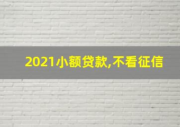 2021小额贷款,不看征信