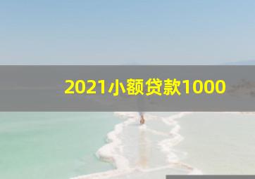 2021小额贷款1000