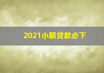 2021小额贷款必下