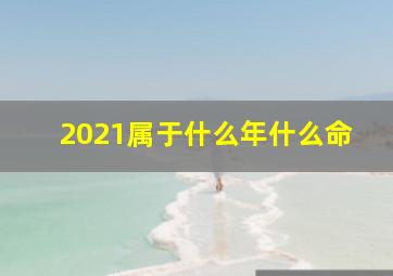 2021属于什么年什么命