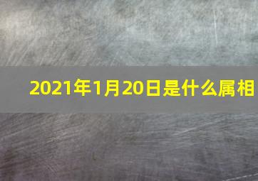 2021年1月20日是什么属相