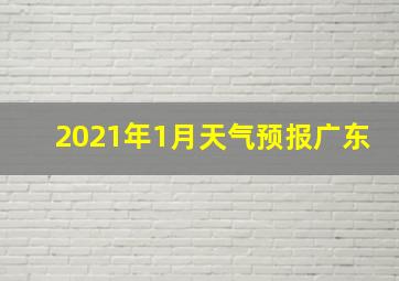 2021年1月天气预报广东