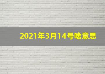 2021年3月14号啥意思