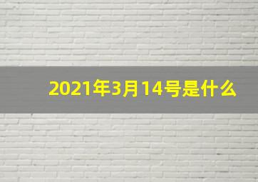 2021年3月14号是什么