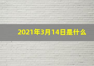 2021年3月14日是什么