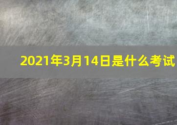 2021年3月14日是什么考试