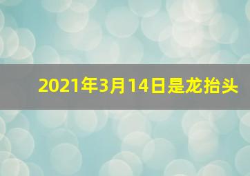 2021年3月14日是龙抬头