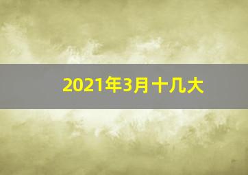 2021年3月十几大