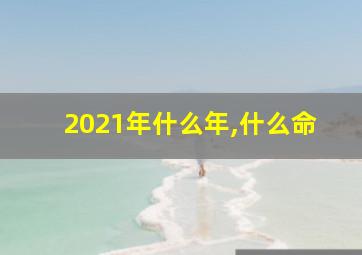 2021年什么年,什么命