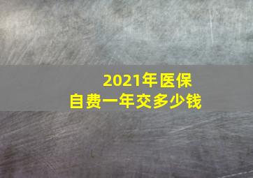 2021年医保自费一年交多少钱