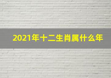 2021年十二生肖属什么年