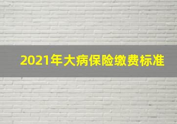 2021年大病保险缴费标准