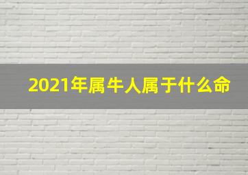 2021年属牛人属于什么命