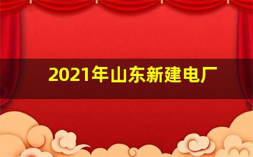 2021年山东新建电厂