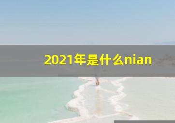 2021年是什么nian