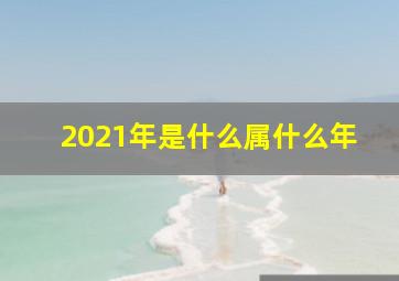 2021年是什么属什么年