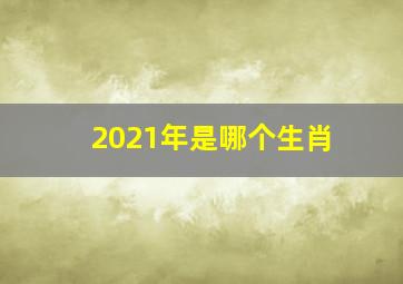 2021年是哪个生肖