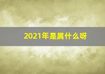 2021年是属什么呀