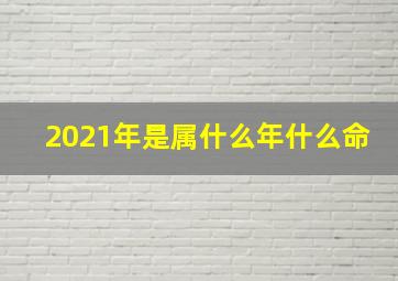 2021年是属什么年什么命