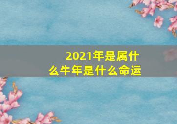 2021年是属什么牛年是什么命运