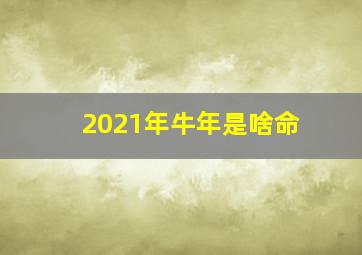 2021年牛年是啥命