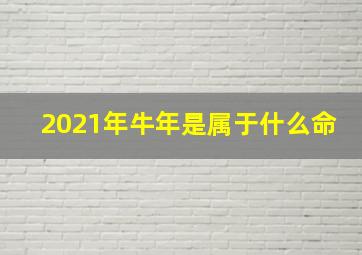 2021年牛年是属于什么命