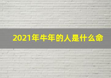 2021年牛年的人是什么命