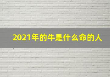 2021年的牛是什么命的人