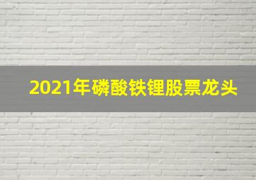 2021年磷酸铁锂股票龙头