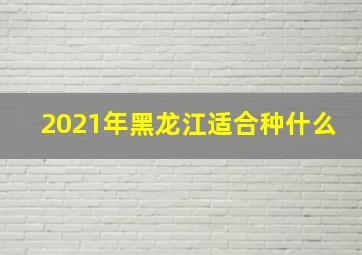 2021年黑龙江适合种什么